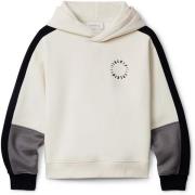 Sweater Calvin Klein Jeans Brushed Fleece Clr Block Hoodi