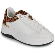 Lage Sneakers MICHAEL Michael Kors DOTTIE LACE UP