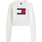 Trui Tommy Hilfiger TJW SPARKLE FLAG SWE DW0DW21690