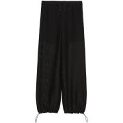 Harembroek Marella WILLIAM