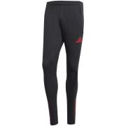 Trainingsbroek adidas Lfc Tr Pnt