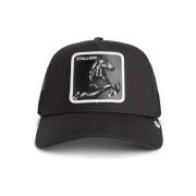 Pet Goorin Bros 101-2451-VOI-STALLION