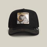 Pet Goorin Bros 101-2532-VOI-GOLDEN LEGEND