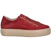 Lage Sneakers Paul Green Sneaker