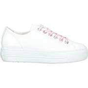 Lage Sneakers Paul Green Sneaker