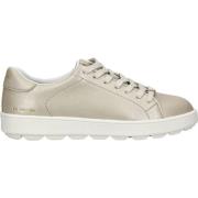 Lage Sneakers Geox Sneaker