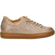 Lage Sneakers Paul Green Sneaker