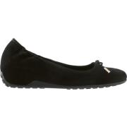 Ballerina's Högl Ballerina´s