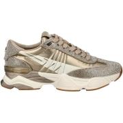 Lage Sneakers Steve Madden Sneaker