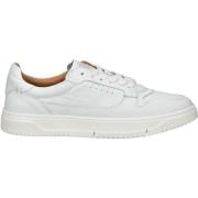 Lage Sneakers Steve Madden Sneaker