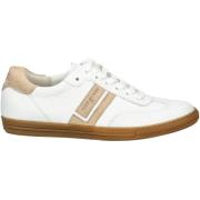 Lage Sneakers Paul Green Sneaker