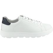 Lage Sneakers Geox Sneaker