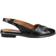 Ballerina's Everybody Ballerina´s