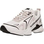 Lage Sneakers Steve Madden Sneaker