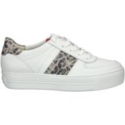 Lage Sneakers Paul Green Sneaker