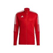 Sweater adidas Tiro 21
