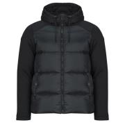 Donsjas JOTT THUNDER