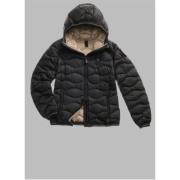 Blazer Blauer 25WBLDC03095-006047