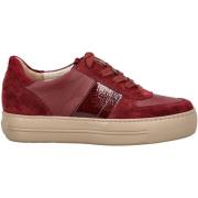 Lage Sneakers Paul Green Sneaker