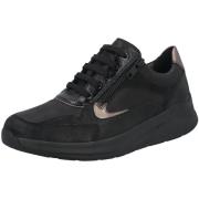 Sneakers Solidus Kitty