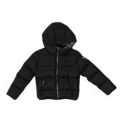 Windjack Colmar 3406A 2YO