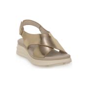 Sandalen Lumberjack CO001 GOLD NILLA