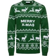 Trui Only &amp; Sons ONSXMAS REG 5 ALLOVER CREW KNIT 22031171