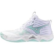 Sportschoenen Mizuno Shoe Wave Momentum Elite Mid W