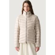 Donsjas Colmar IN2522292YO 16