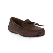 Sandalen Frau BROWN SPINNER