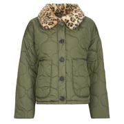 Windjack Noisy May NMHOLLY