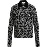 Vest Morgan 252-MBOLEO