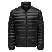 Windjack Only And Sons -