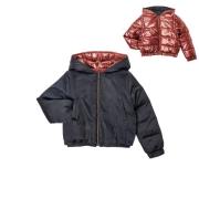 Donsjas Ikks XV41022