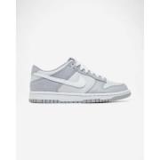 Lage Sneakers Nike Dunk Low Two-Toned Grey (GS)