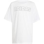 T-shirt Korte Mouw adidas in1908