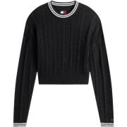 Trui Tommy Hilfiger DW0DW22025