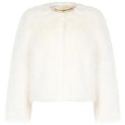 Windjack Rinascimento CFC0122217003