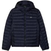 Donsjas Lacoste Quilted Puffer Jacket Navy