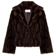 Windjack Rinascimento CFC0125182003