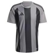 T-shirt Korte Mouw adidas T-shirt Striped 24