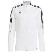T-Shirt Lange Mouw adidas T-shirt manches longues Team Base