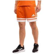 Korte Broek adidas Short Squadra 25