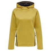 Sweater hummel Sweat à capuche Cima XK