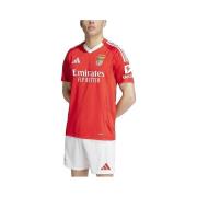 T-shirt Korte Mouw adidas T-shirt Benfica 24/25 rouge