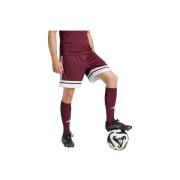 Korte Broek adidas Short Squadra 25 Bordeaux