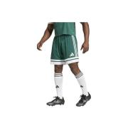 Korte Broek adidas Short Squadra 25 vert