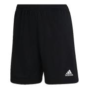 Korte Broek adidas Entrada 22