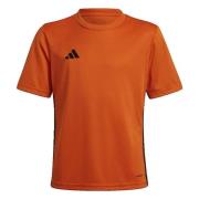 Zwembroek adidas Tabela 23