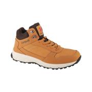 Hoge Sneakers Campus Norden